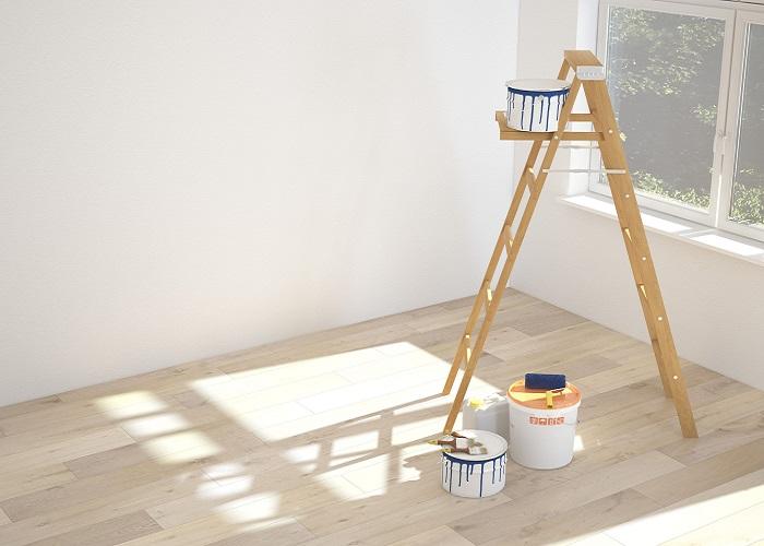 ladder for house painting