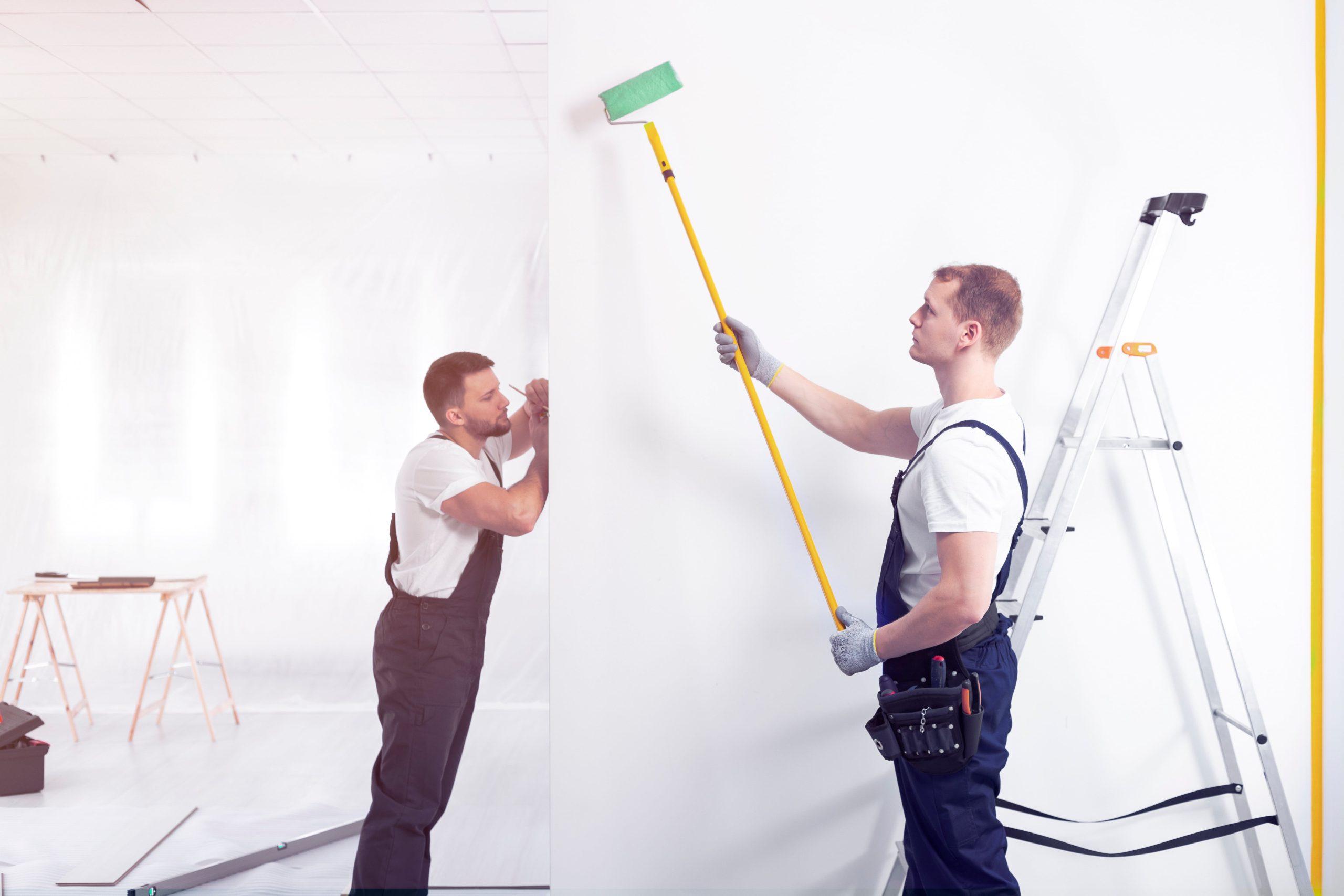 What to Expect from Sydney Painters