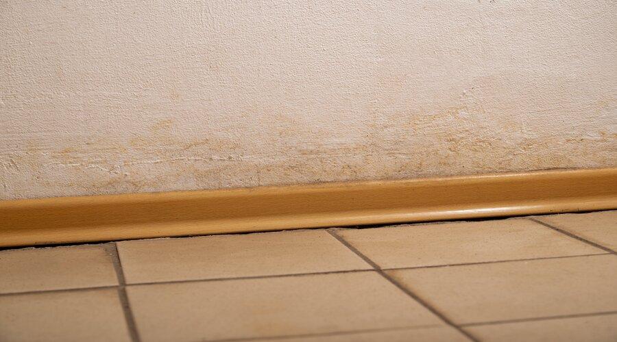 Water damage causing peeling paint and mildew