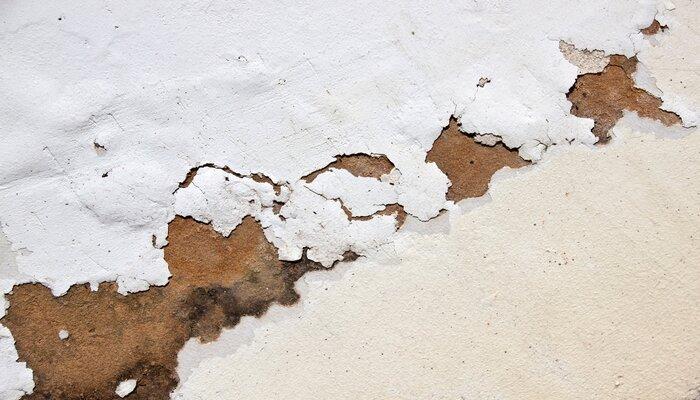 Bubbling paint on exterior wall due to neglect and lack of maintenance