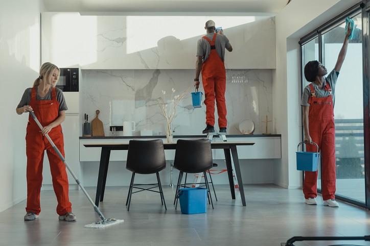 Experienced painters