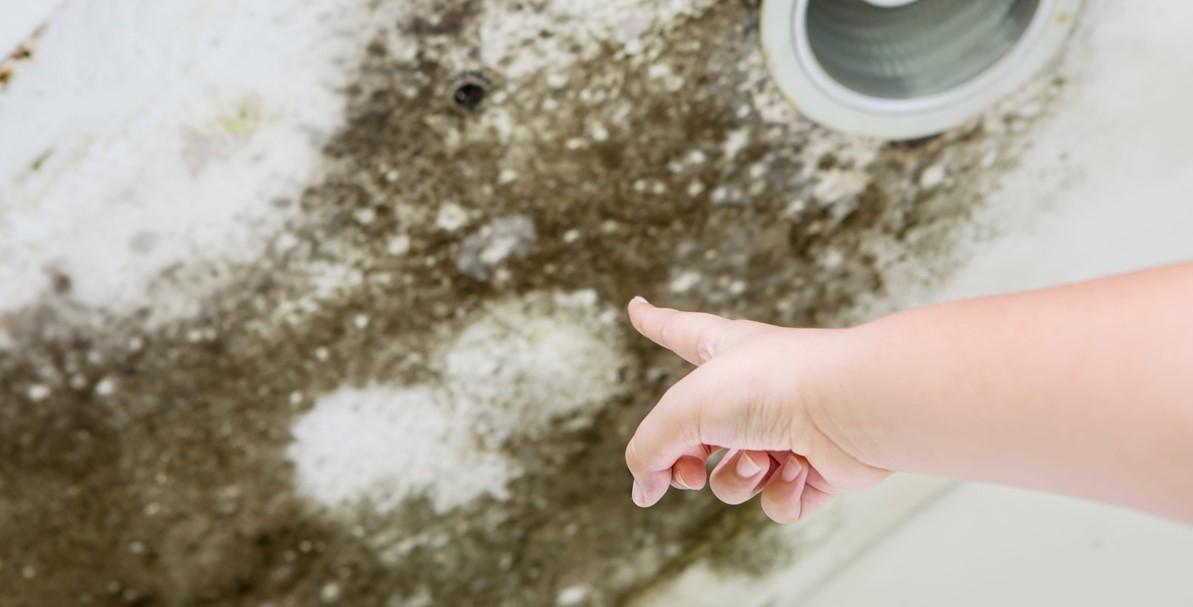 Hands of a woman pointing at fungus on the ceiling caused by water leaks