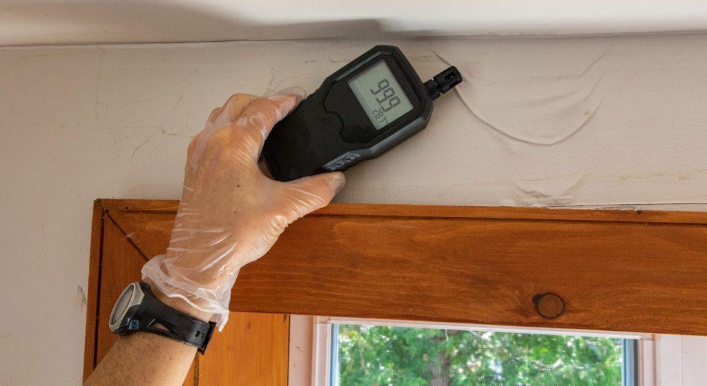 Indoor damp air quality testing by an indoor environmental quality assessor