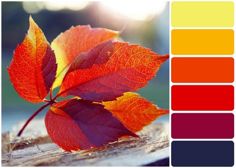 Office colour palette swatches